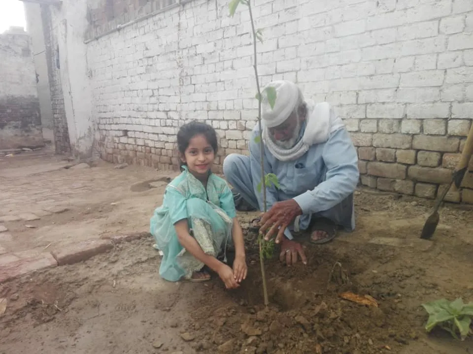 Green Seekers Activity